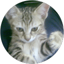 Argai N. profile picture